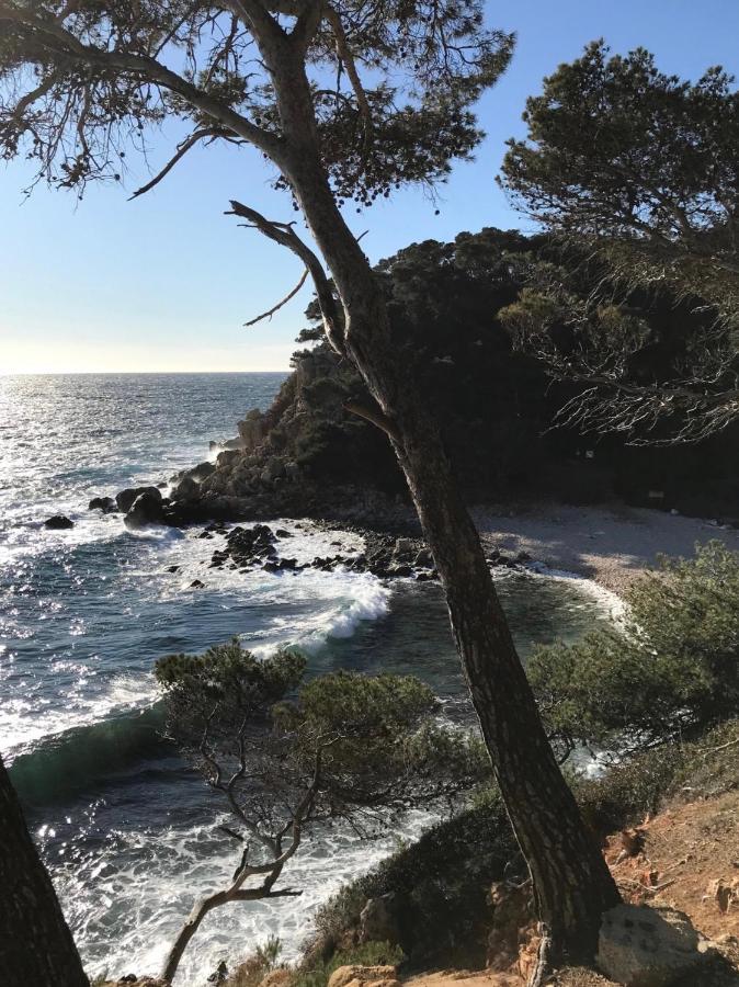 Villa Lucienne Bandol , T2 4 Etoiles Avec Garage, Dans Les Calanques Екстериор снимка