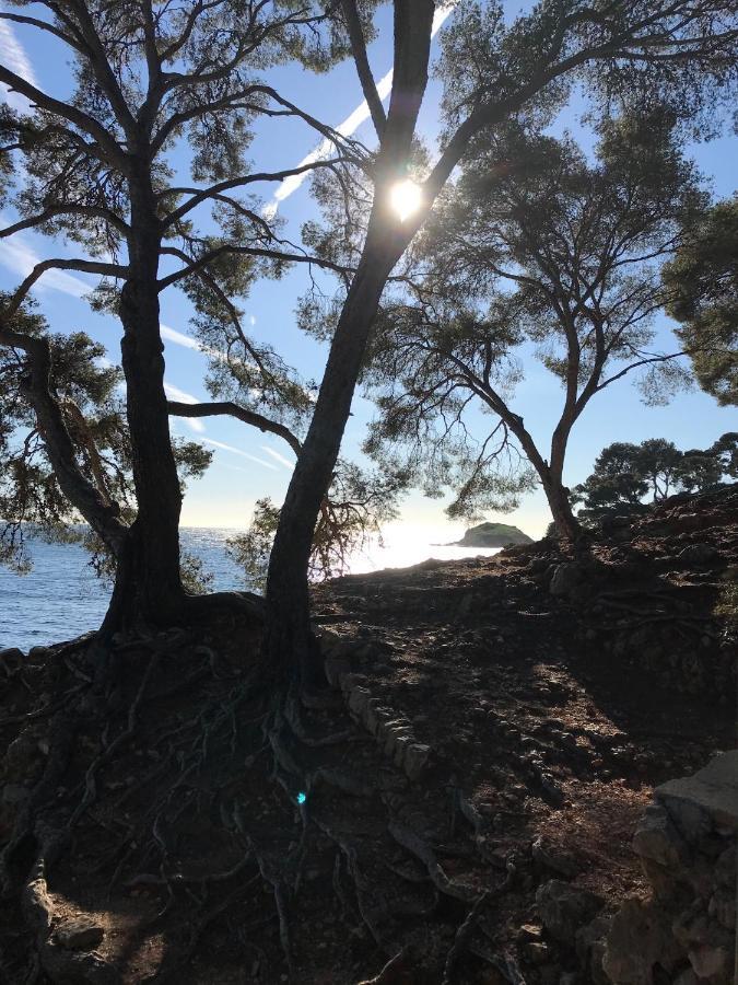 Villa Lucienne Bandol , T2 4 Etoiles Avec Garage, Dans Les Calanques Екстериор снимка